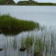Many more timbers may lie buried in the loch's silty bottom